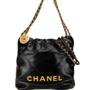 CHANEL 2021-2024 Mini Shiny Calfskin 22 satchel